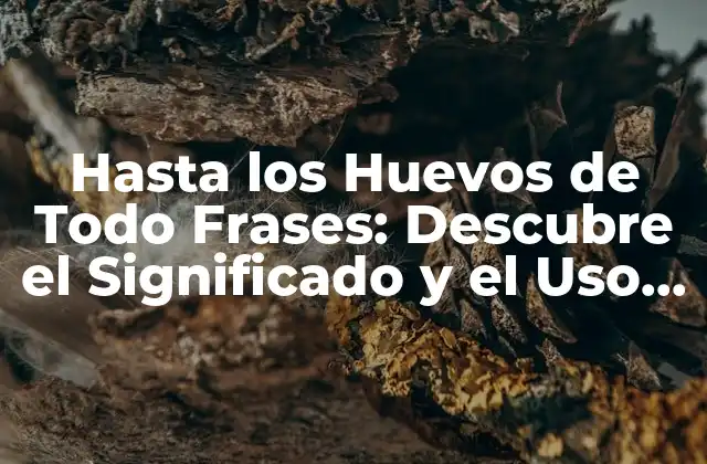 Hasta los Huevos de Todo Frases: Descubre el Significado y el Uso de Esta Expresión Idiomática