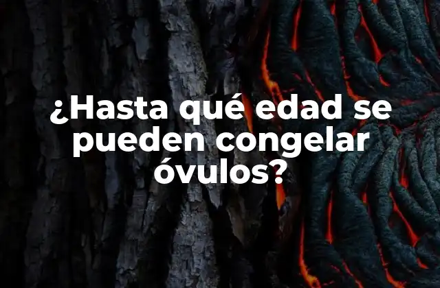 ¿hasta Qué Edad Se Pueden Congelar Óvulos? 2 ¿Qué es la congelación de óvulos?