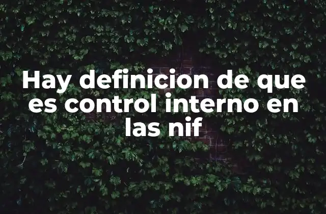 Hay Definicion de que es Control Interno en las Nif