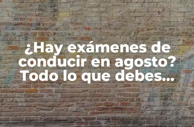 ¿hay Exámenes de Conducir en Agosto? Todo Lo que Debes Saber