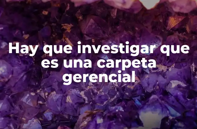 Hay que Investigar que es una Carpeta Gerencial