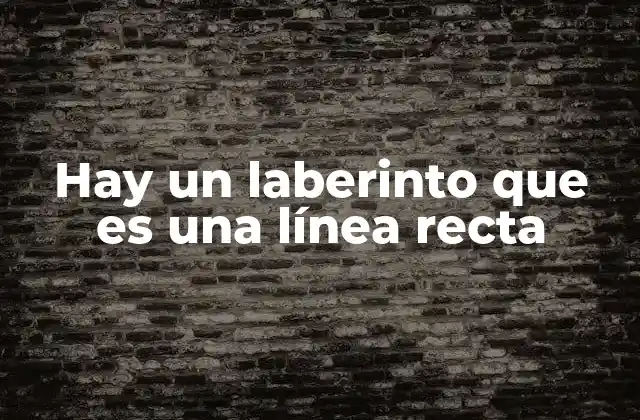 Hay un Laberinto que es una Línea Recta