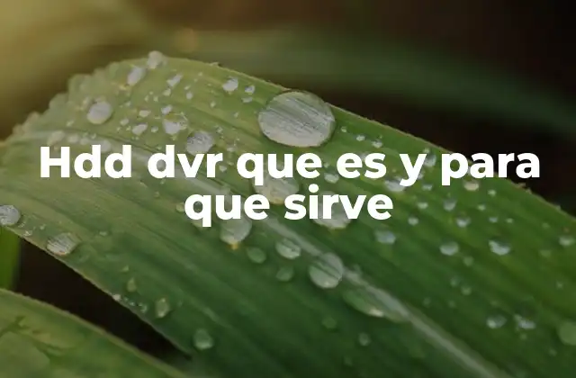 Hdd Dvr que es y para que Sirve
