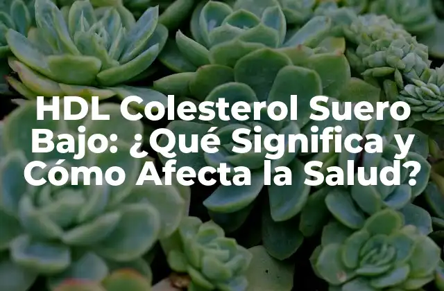 Hdl Colesterol Suero Bajo: ¿qué Significa y Cómo Afecta la Salud?