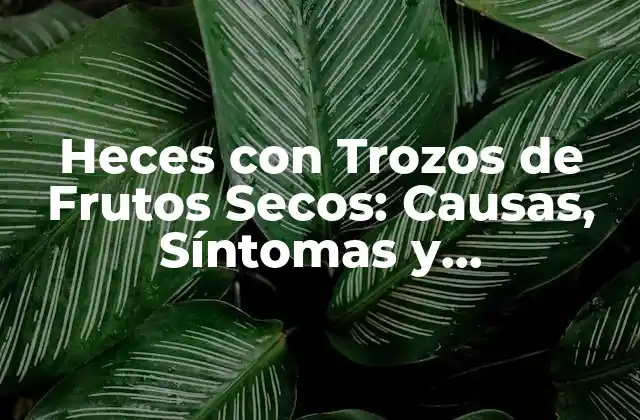 Heces con Trozos de Frutos Secos: Causas, Síntomas y Tratamiento
