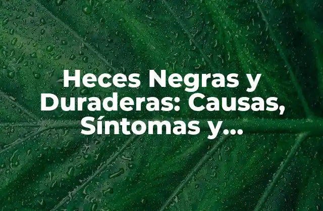 Heces Negras y Duraderas: Causas, Síntomas y Tratamientos