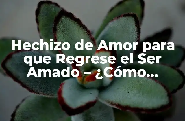 Hechizo de Amor para que Regrese el Ser Amado – ¿cómo Funciona?