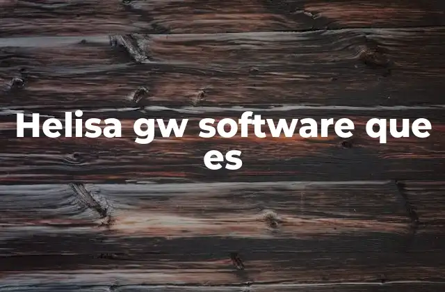 Helisa Gw Software que es