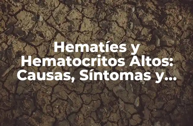 Hematíes y Hematocritos Altos: Causas, Síntomas y Tratamiento