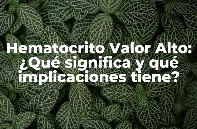 Hematocrito Valor Alto: ¿qué Significa y Qué Implicaciones Tiene?