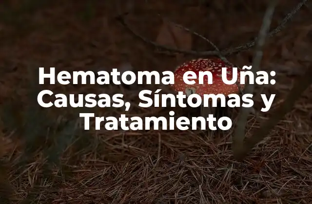 ¿Qué es un Hematoma en Uña?