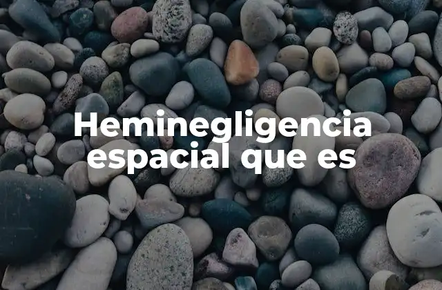 Heminegligencia Espacial que es