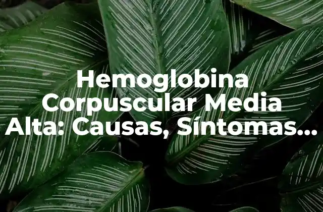 Hemoglobina Corpuscular Media Alta: Causas, Síntomas y Tratamiento