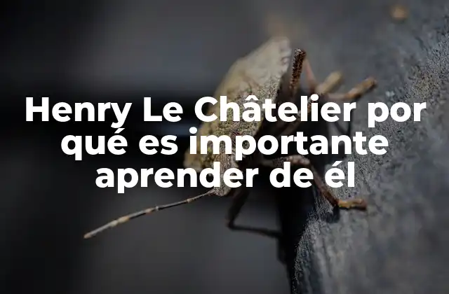 Henry Le Châtelier por Qué es Importante Aprender de Él