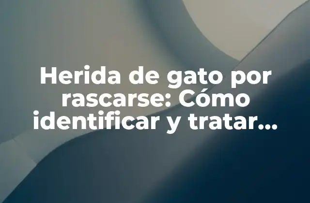 Herida de Gato por Rascarse: Cómo Identificar y Tratar Lesiones Comunes