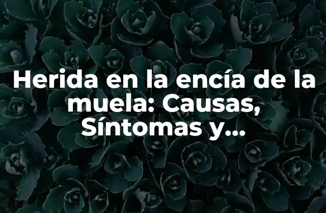 Herida en la Encía de la Muela: Causas, Síntomas y Tratamiento