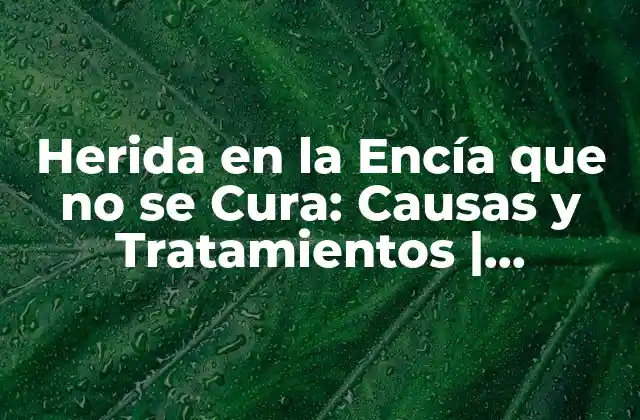 Herida en la Encía que No Se Cura: Causas y Tratamientos | Problemas de Salud Oral