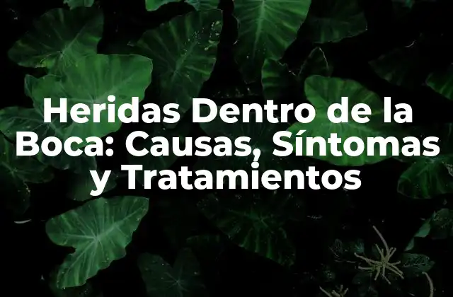 Heridas Dentro de la Boca: Causas, Síntomas y Tratamientos