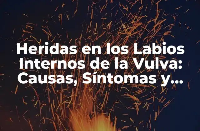 Causas de las Heridas en los Labios Internos de la Vulva