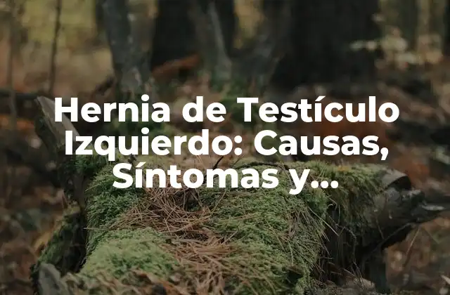 Hernia de Testículo Izquierdo: Causas, Síntomas y Tratamientos
