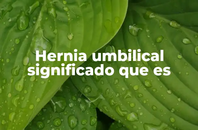 Hernia Umbilical Significado que es