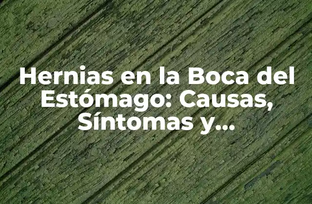 Hernias en la Boca Del Estómago: Causas, Síntomas y Tratamientos