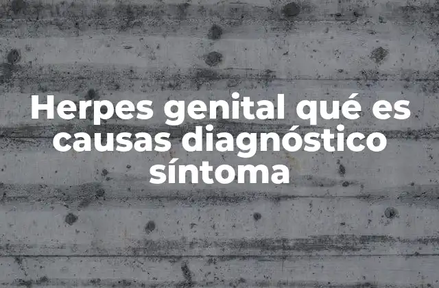 Herpes Genital Qué es Causas Diagnóstico Síntoma