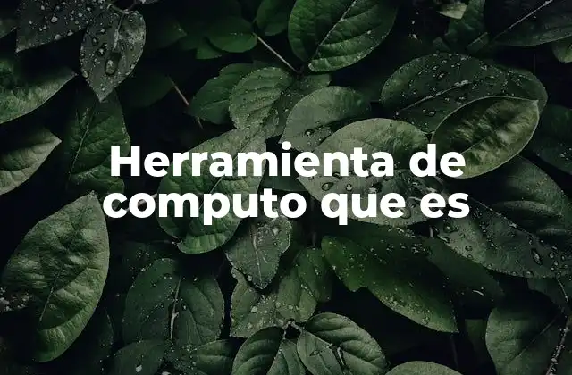 Herramienta de Computo que es