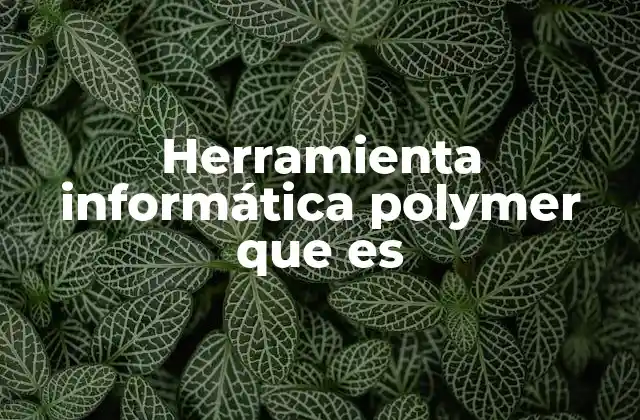El papel de Polymer en el desarrollo web moderno