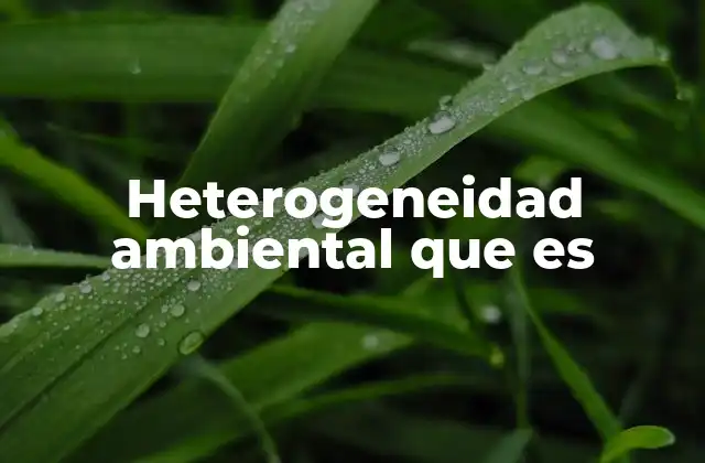 Heterogeneidad Ambiental que es