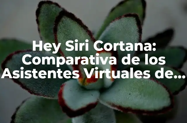 Hey Siri Cortana: Comparativa de los Asistentes Virtuales de Apple y Microsoft