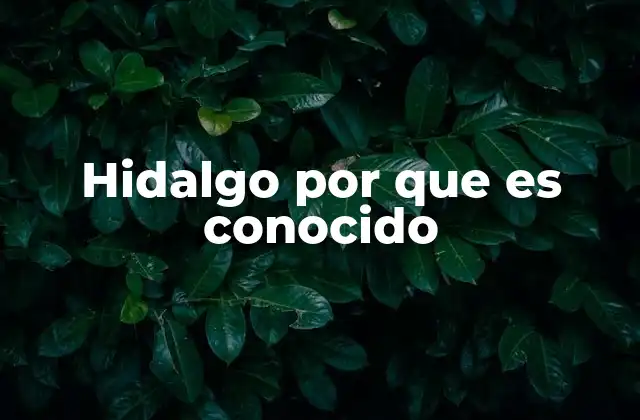 Hidalgo por que es Conocido