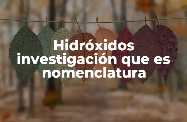 Hidróxidos Investigación que es Nomenclatura
