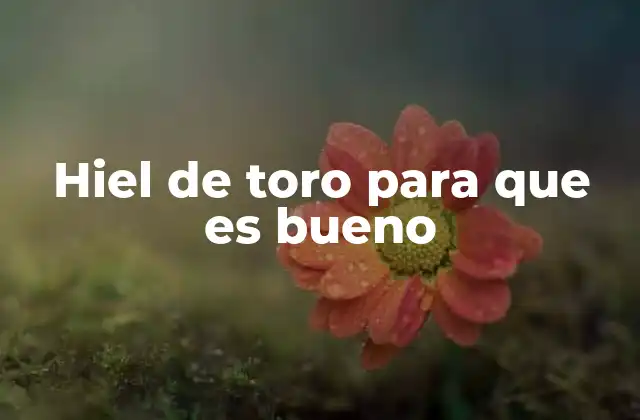 Hiel de Toro para que es Bueno