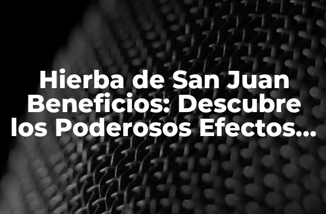 Hierba de San Juan Beneficios: Descubre los Poderosos Efectos de Esta Planta Natural