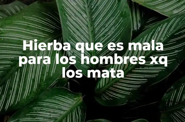 Hierba que es Mala para los Hombres Xq los Mata