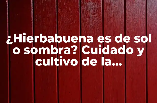 ¿hierbabuena es de Sol o Sombra? Cuidado y Cultivo de la Hierbabuena