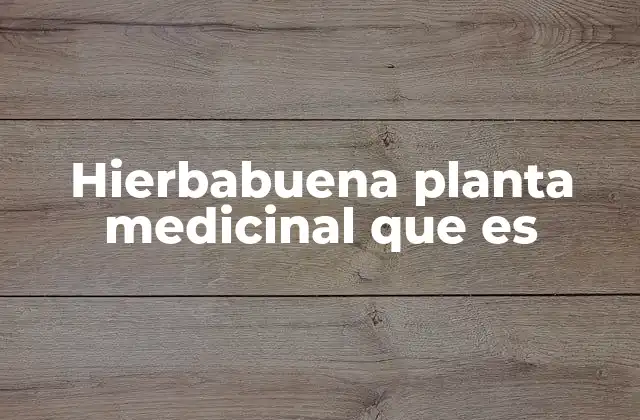 Hierbabuena Planta Medicinal que es