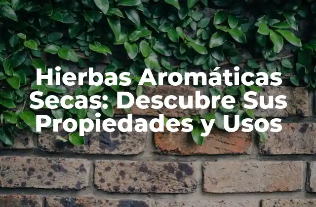 Hierbas Aromáticas Secas: Descubre Sus Propiedades y Usos