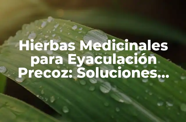Hierbas Medicinales para Eyaculación Precoz: Soluciones Naturales para una Mejora Sexual