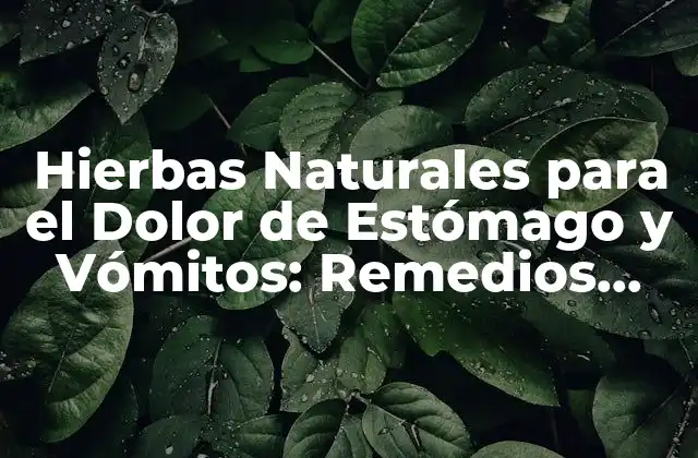 Hierbas Naturales para el Dolor de Estómago y Vómitos: Remedios Eficientes