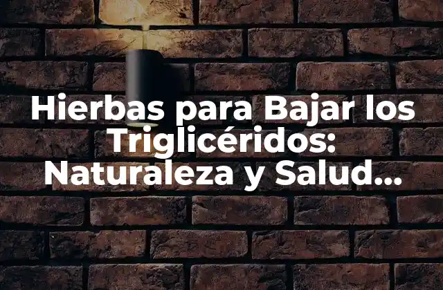 Hierbas para Bajar los Triglicéridos: Naturaleza y Salud para Su Corazón