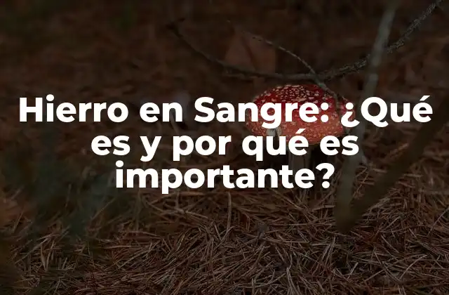 Hierro en Sangre: ¿qué es y por Qué es Importante?
