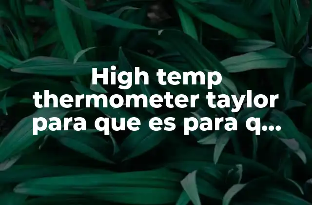High Temp Thermometer Taylor para que es para Q Sirver
