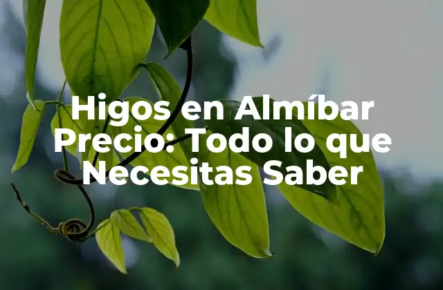Higos en Almíbar Precio: Todo Lo que Necesitas Saber