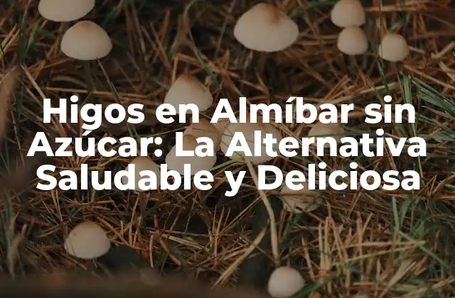 Higos en Almíbar sin Azúcar: la Alternativa Saludable y Deliciosa