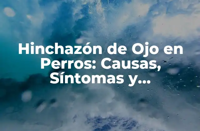 Hinchazón de Ojo en Perros: Causas, Síntomas y Tratamientos