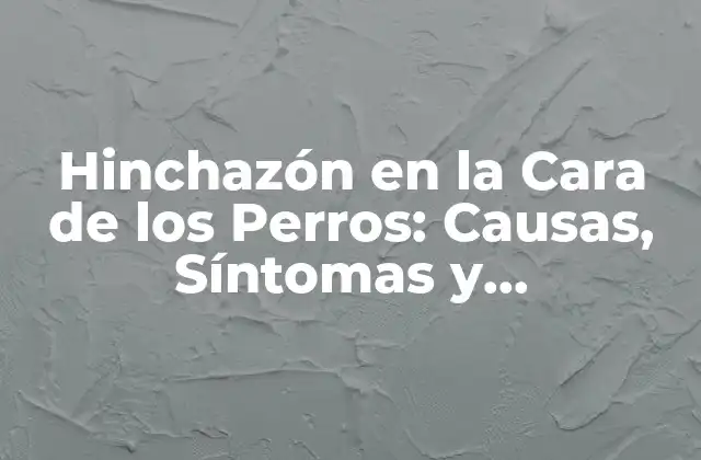 Hinchazón en la Cara de los Perros: Causas, Síntomas y Tratamiento