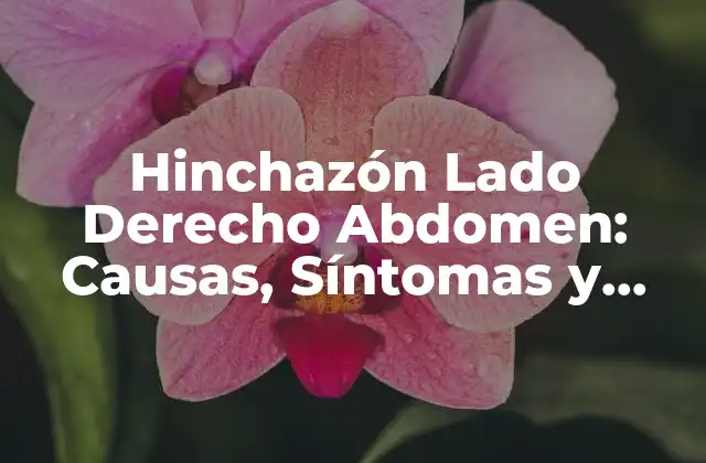 Hinchazón Lado Derecho Abdomen: Causas, Síntomas y Tratamiento