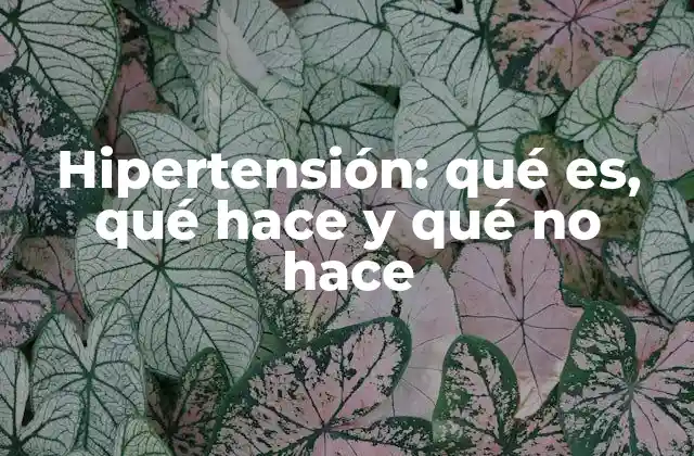 Hipertensión: Qué Es, Qué Hace y Qué No Hace